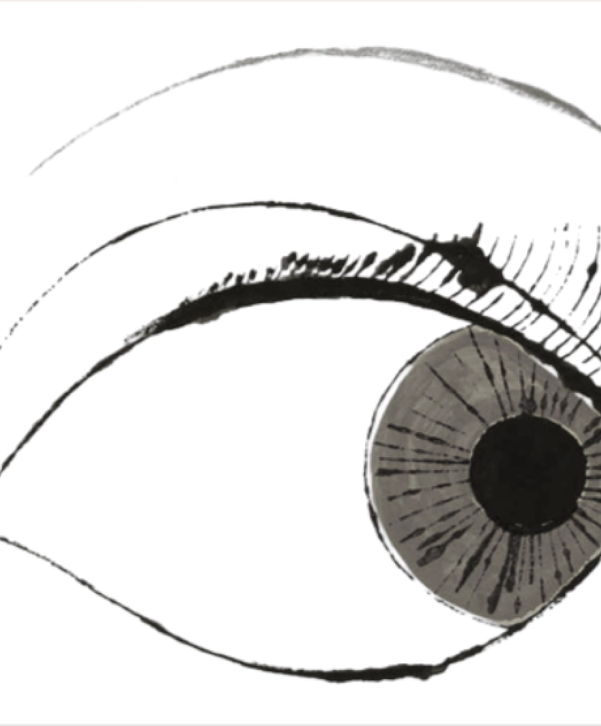 Illustration of an eye with artistic detailing.