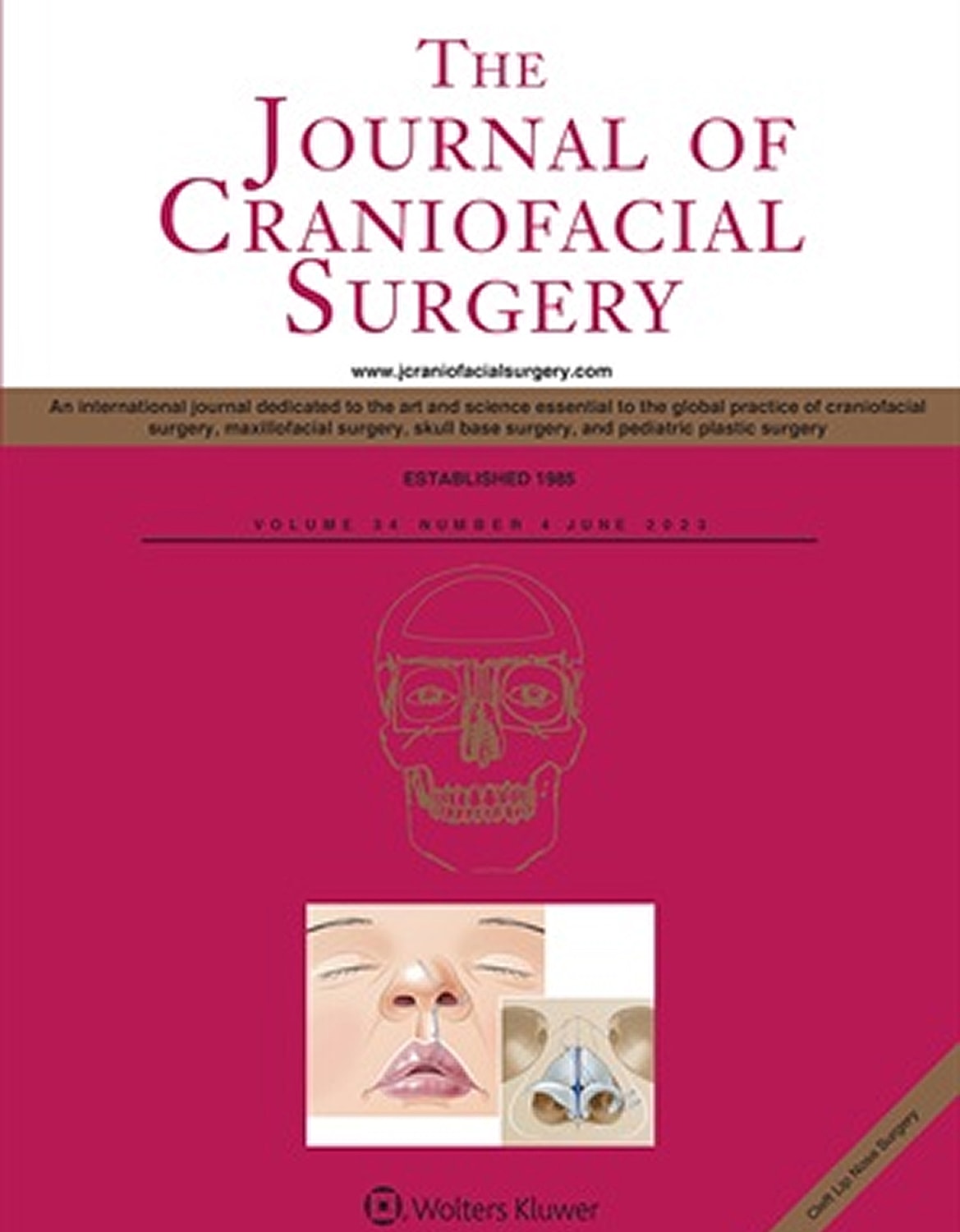 Cover of The Journal of Craniofacial Surgery